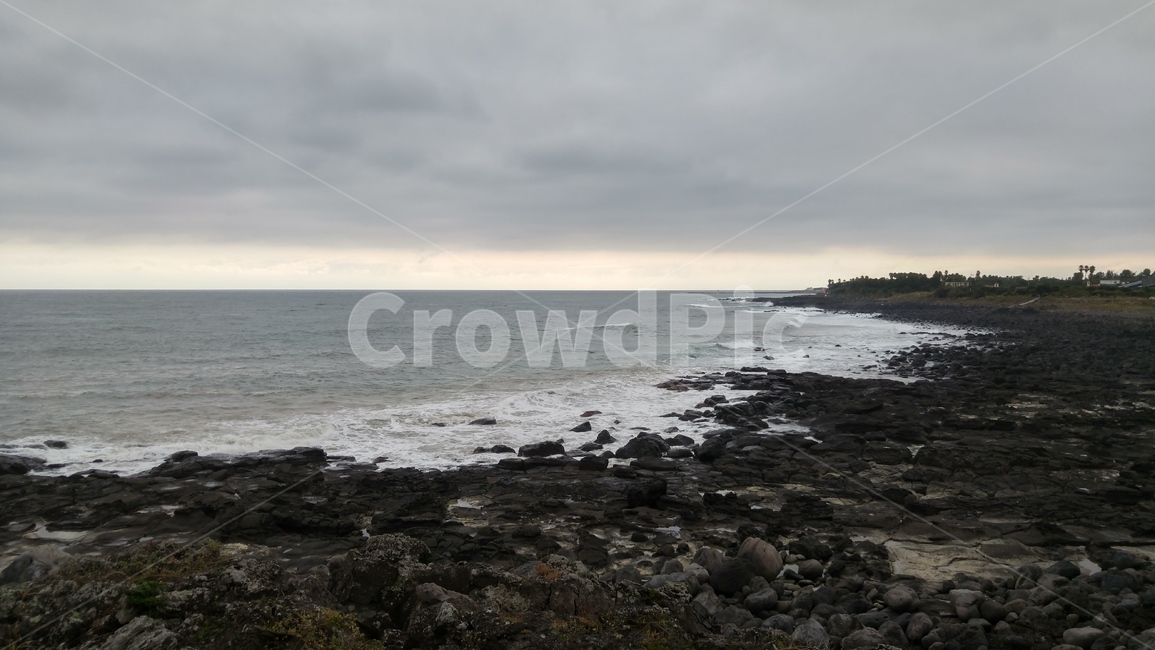 제주,제주도,해안,바다,바닷가,파도,풀,풀숲,grass,plant,잔디,식물,promontory,자연,풍경,nature,landscape