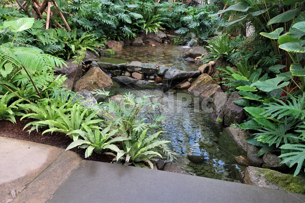 서울식물원,식물,온실,수목원,정원,실내,생태,조성,꽃,나무,시설,식물,자연,plants,nature