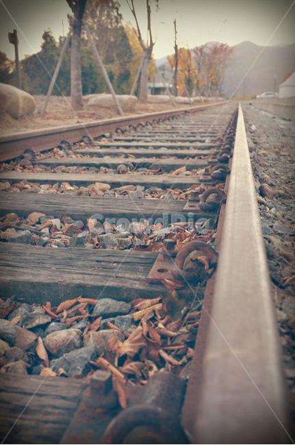 railway,철도,기찻길,rail,레일