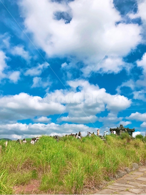 목초지,field,들,outdoors,자연,grassland,nature,옥외,구름,맑은,잔디,풀,자연,풍경,nature,landscape