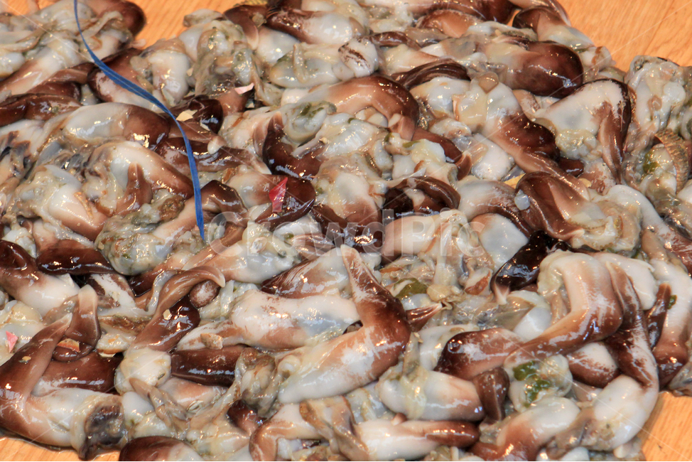 새조개,해산물,수산물,조개류,제철,조개,새,food,seafood,cockle,shellfish,새조개샤브샤브,샤브샤브,음식,야채,shabushabu
