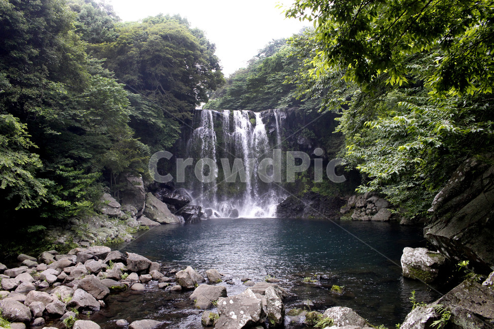 운치있는날,비,나무,폭포,산,자연,풍경,nature,landscape,한국자연풍경,한국자연경관,korea nature landscape,water,물,outdoors,옥외,river,강