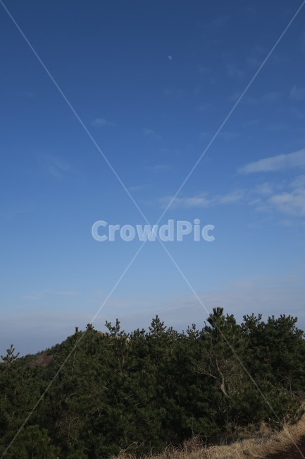 자연,하늘,나무,땅,흙,길,오름,구름,자연,풍경,nature,landscape,outdoors,옥외