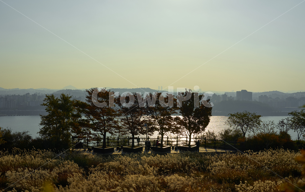 하늘공원,억새,노을,저녁,하늘,공원,한강,도시,서울,산,나무,사람,빛반사,일몰,자연,풍경,nature,landscape