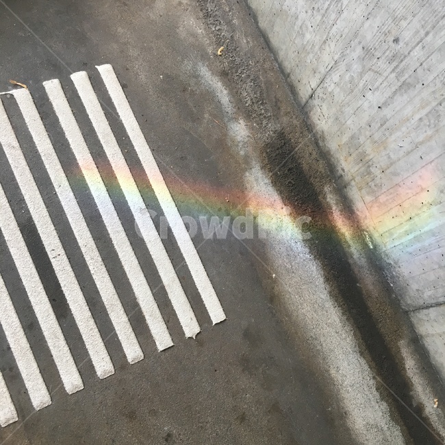 무자개,감성,아스팔트,횡단보도,rainbow