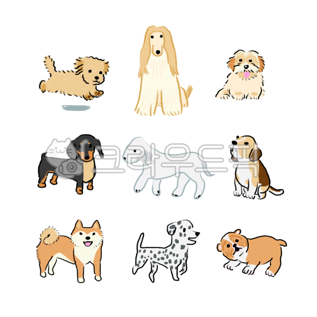 강아지,개,반려견,애완견,유기견,멍멍이,반려동물,동물,일러스트,손그림,애완동물,닥스훈트,달마시안,베들링턴테리어,불독,비글,시바견,시츄,아프간하운드,푸들,종류,세트,사냥개,dog,puppy,pet,animal,set,hound,mammal