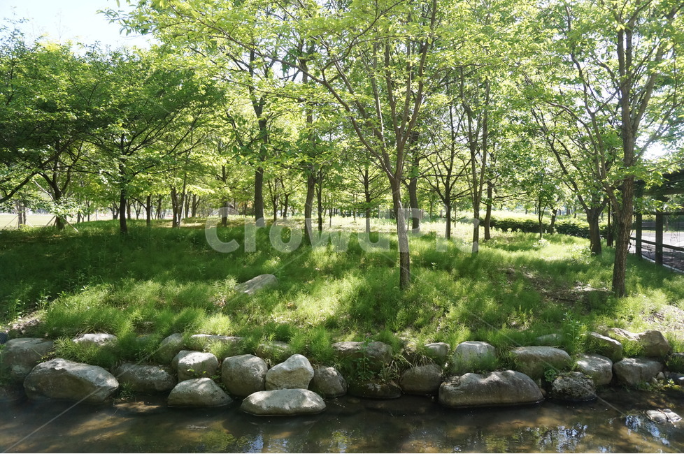 봄,상림공원,나무,초록,하늘,시원시원,상쾌,산책,봄,계절,spring,season,자연,풍경,nature,landscape,water,물,outdoors,옥외,stream,흐름,land,땅