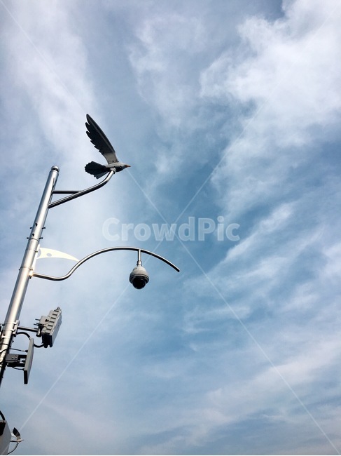 하늘,맑은하늘,sky,조형물,구름,새,새조형물,조각상,동상,석상,조형물,statue,bronze statue,stone statue