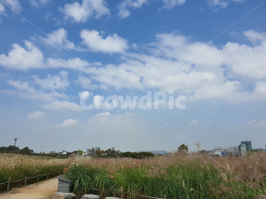 nature,자연,구름,cloud,하늘,sky,적운,하늘공원,자연,풍경,nature,landscape,outdoors,옥외,land,땅,water,물