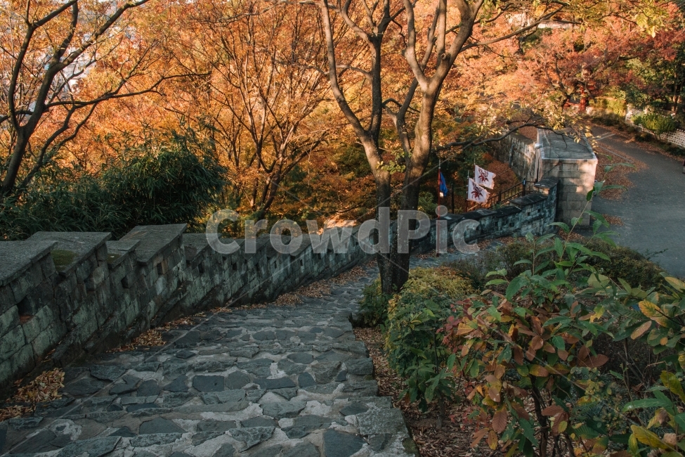 가을,진주성,한국적,성,단풍,전통,진주,돌계단,가을,계절,fall,autumn,season,자연,풍경,nature,landscape,한국자연풍경,한국자연경관,korea nature landscape,한국전통,한국문화,korean traditional,korean culture,walkway,보도,path,통로,tree,나무,plant,식물,flagstone,판석