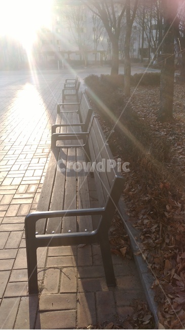 flare,플레어,light,빛,furniture,햇빛,sunlight,가구,해질녁,공원벤치,가을