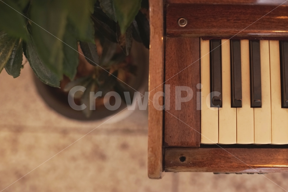 감성,피아노,인테리어,카페,소품,실내,악기,emotion,sensitive,piano,interior,cafe,indoor,instrument,색감,컬러,color,가을,autumn,악기,음향기기,musical instrument,musical equipment