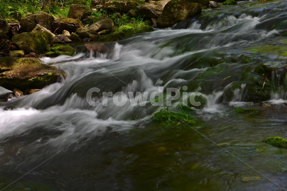 stream,흐름,장성,백양사,신록,연두색,봄,계절,nature,자연,water,물,outdoors,옥외,자연,풍경,nature,landscape,한국자연풍경,한국자연경관,korea nature landscape