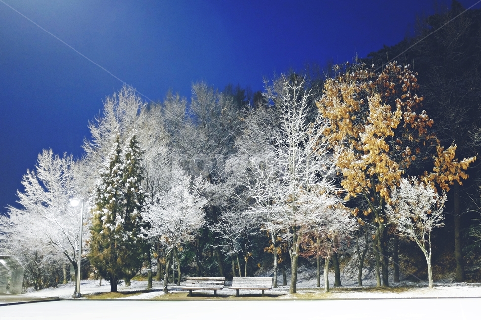 겨울풍경,winter,snow,landscape,겨울,겨울,계절,winter,season,자연,풍경,nature,landscape,outdoors,옥외