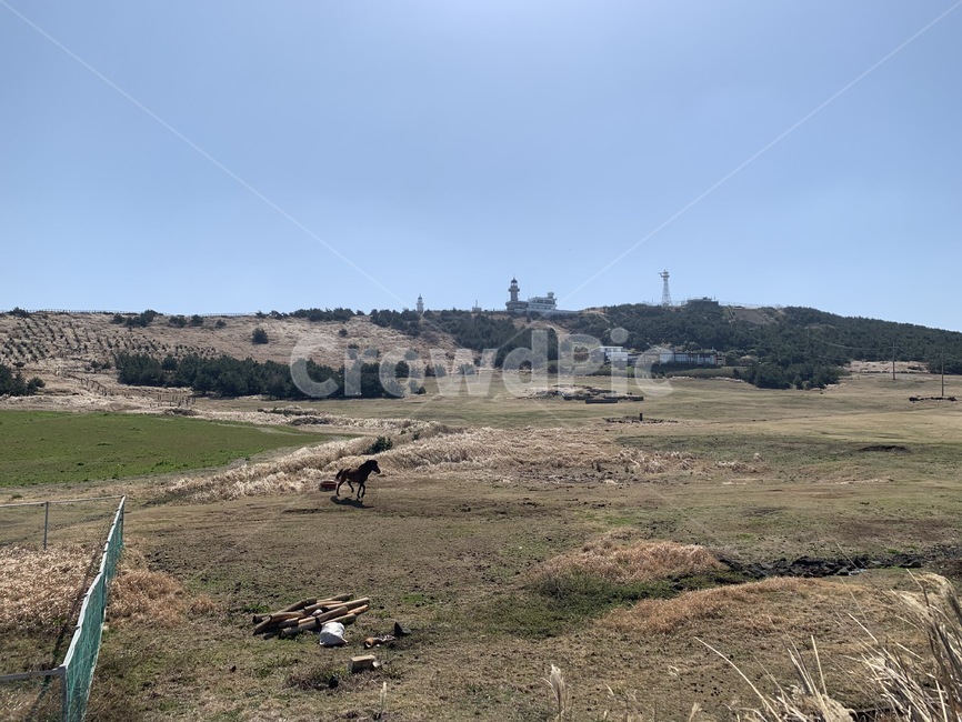 목장풍경,제주도목장,목장과말,제주도말,목장과하늘