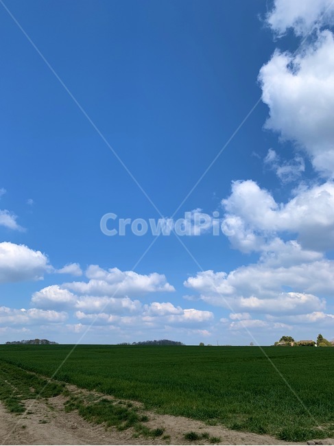 nature,자연,outdoors,옥외,weather,날씨,하늘,sky,cloud,구름,푸른하늘