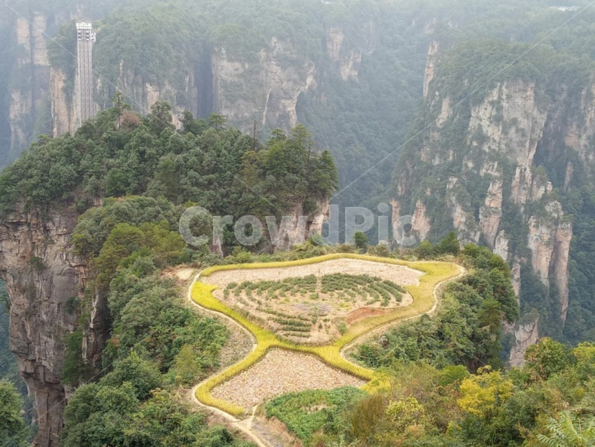 경치,장가계,자연,풍경,중국트래킹,자연,풍경,nature,landscape