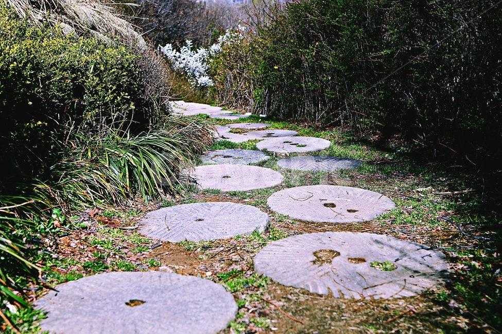 돌길,길,식물,자연,배경,풍경,자연,풍경,nature,landscape,flagstone,판석