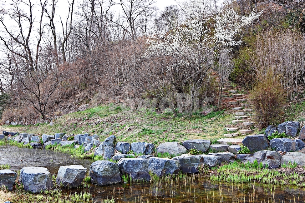 돌길,길,식물,자연,배경,풍경,자연,풍경,nature,landscape,ground,바닥