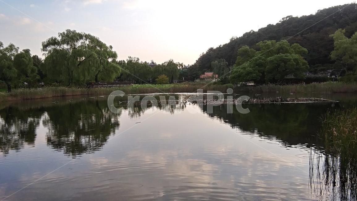 호수,동산,산,녹색,그린,워터,하늘,푸른,맑은하늘,청명함,청명한하늘,water,nature,자연,outdoors,옥외