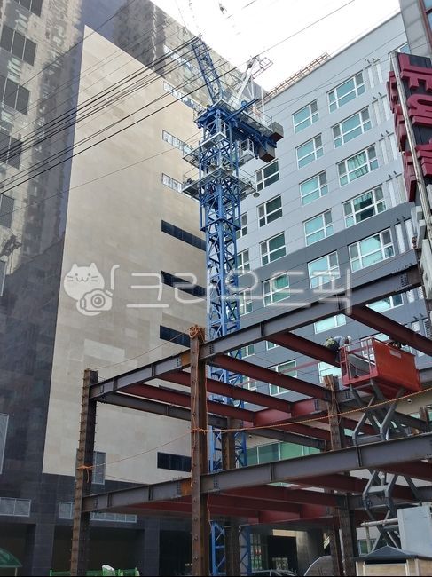 skeleton,wire,glass,Under construction,building