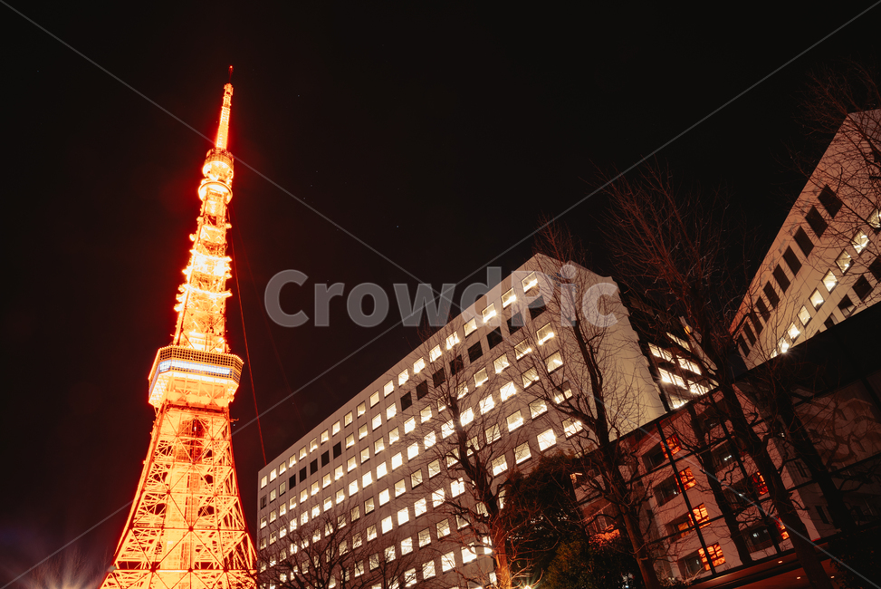 도쿄,도쿄타워,랜드마크,일본,야경,tokyo,japan,nightscape,야경,밤,풍경,nightscape,night,landscape,랜드마크,landmark,tourist attraction,해외,외국,세계,foreign,oversea,world,세계랜드마크,해외랜드마크,외국랜드마크,world landmark,world tourist attraction,건축물,건물외관,exterior,building,structure,architecture,construction,downtown,도심,town,도시,urban,어반,건물,city,시티,tower,탑,metropolis,중심지