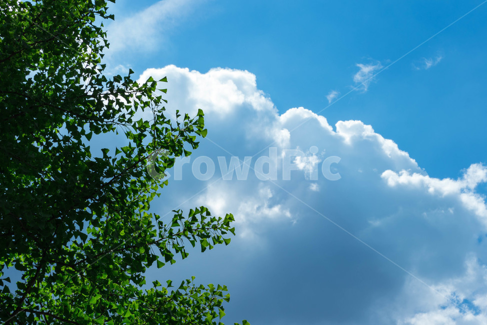 자연,하늘,구름,빛,조화,자연,풍경,nature,landscape,azure sky,푸른 하늘,sky,outdoors,옥외