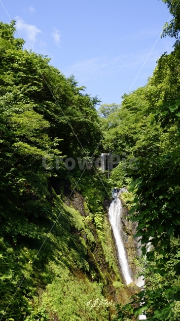 울릉도,여름,summer,여행,관광,자연,nature,경치,풍경,landscape,폭포,물,계곡,나무,tree,숲,숲속,산림,삼림,산,mountain,한국,대한민국,korea,섬,휴가,여름휴가,휴식,힐링,힐링사진,감성,감성사진,맑은공기,공기,식물,풀,돌,바위,plants,travel,healing,조경,자연,풍경,nature,landscape,여름,계절,summer,season,outdoors,옥외,water,river,강,waterfall