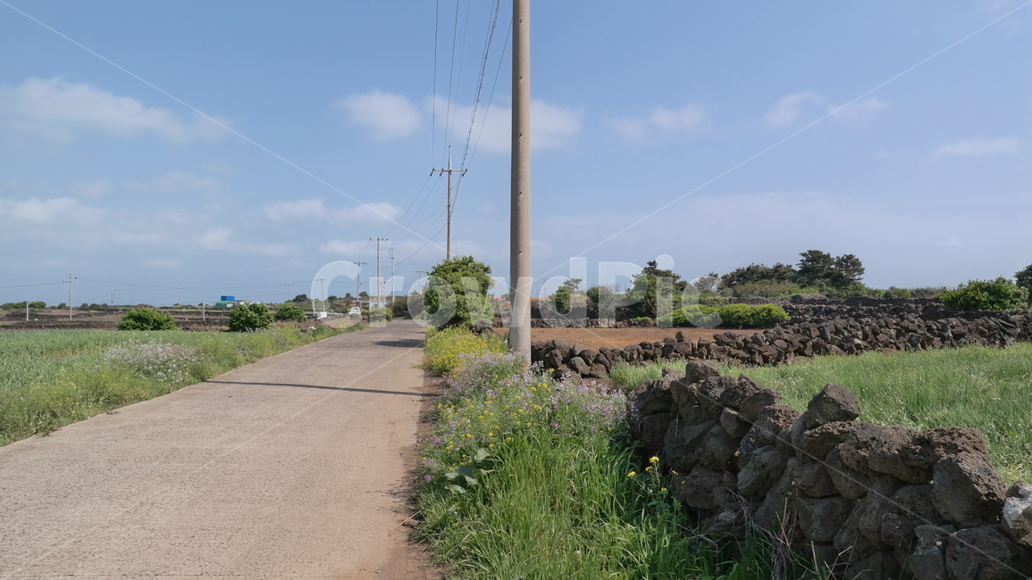 제주,우도,마을,jeju,udo,전봇대,돌담,현무암,들꽃,자연,풍경,구름,하늘,town,stonewall,flowers,nature,landscape,cloud,sky,제주도,jeju,jeju island,시골,마을,풍경,landscape,country,rural,town