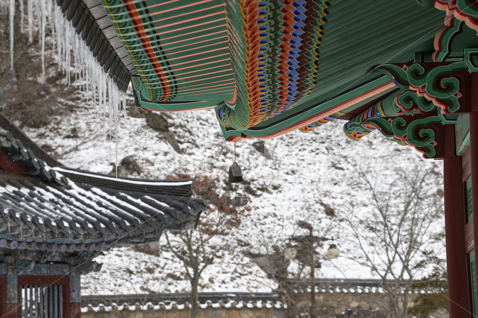 종교,풍경,절,불교,건물,사찰,지붕,단청,현판,기와집,눈,고드름,창살,담장,무늬,패턴,처마,목조건물,전통,강원도,정암사,자장율사,한국,겨울,겨울,계절,winter,season,한국전통,한국문화,korean traditional,korean culture,건축물,건물외관,exterior,building,structure,architecture,construction