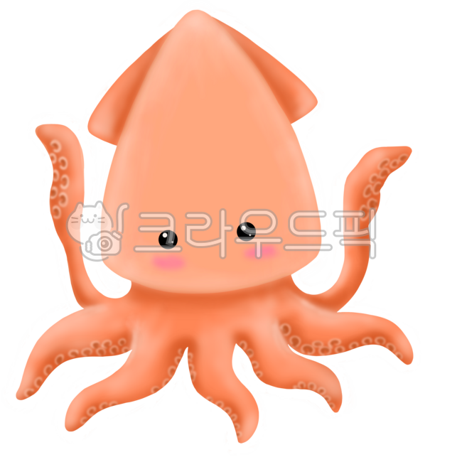 squid,squid character,sea life,under the sea,sea,marine life,see,squid