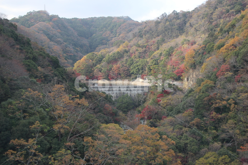 nature,자연,outdoors,옥외,water,물,river,강,가을,계절,fall,autumn,season,자연,풍경,nature,landscape