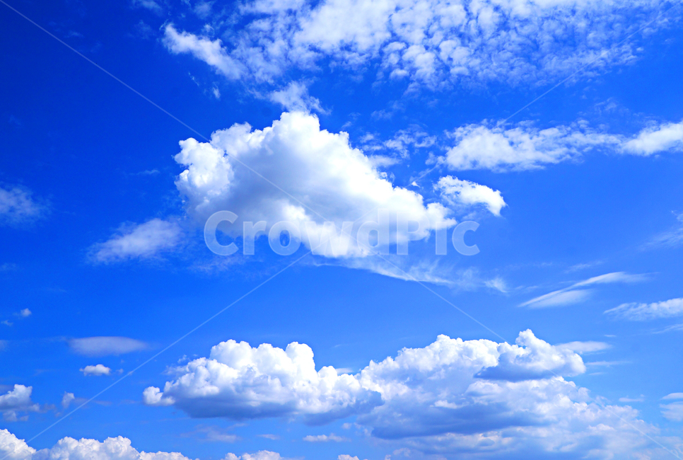 구름,하늘,뭉게구름,아침,cloud
