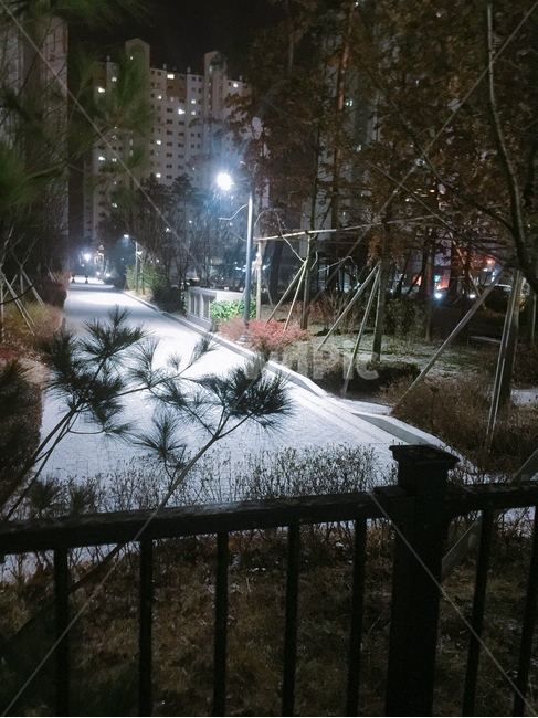 눈,가로등,밤,울타리,길
