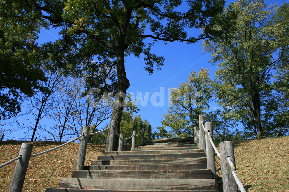 계단,산책,나무,공원,하늘,나무계단,초록,자연,풍경,nature,landscape,handrail,난간,banister