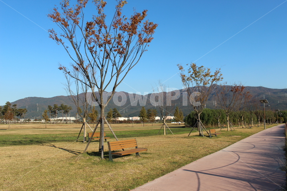 grass,잔디,plant,식물,벤치