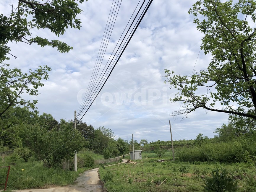 path,green,power line,road,grass,country road,pole,trees