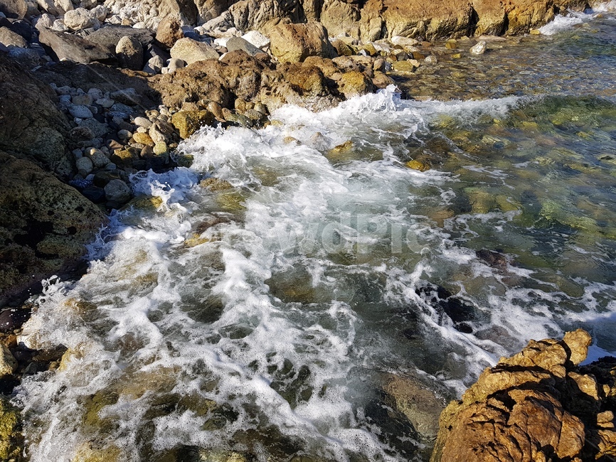 nature,자연,sea,바다,ocean,water