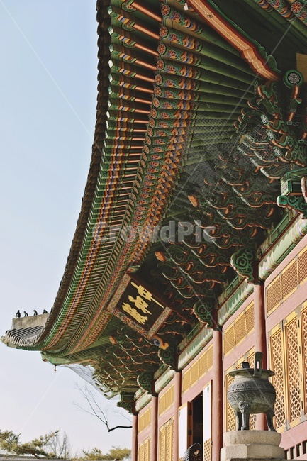 palace,tiledroof,Hanok,eaves,tile roof,koreanstylehouse,apalace