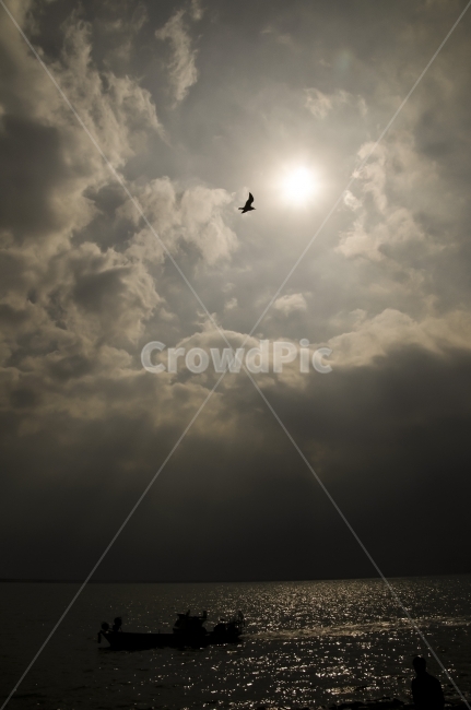 바다,새,구름,수평선,그림자,갈매기,흑백,자연,풍경,nature,landscape,동물,animal,조류,새,birds,산업,industry,industrial,어업,fishery,fishing industry,교통,교통수단,traffic,transportation,light,빛,flare,플레어