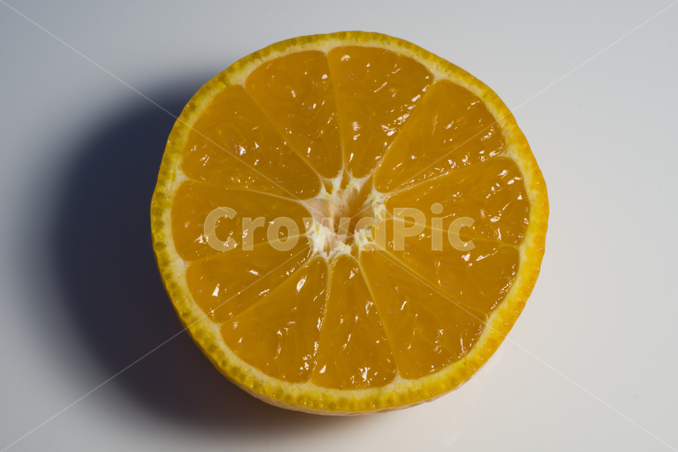 귤,비타민,과일,식물,감귤류과일,음식,주황색,orange,food,plant,citrusfruit,fruit,상큼,신,오렌지,음식,식재료,요리,food,cook,meal,dishes,food reserves,과일,열매,fruit