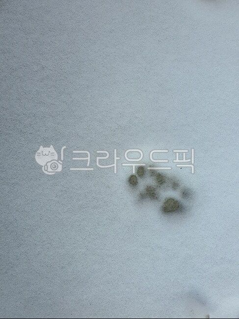 발자국,footprint,cat,고양이,길고양이,감성,배경,배경화면,눈,겨울,snow