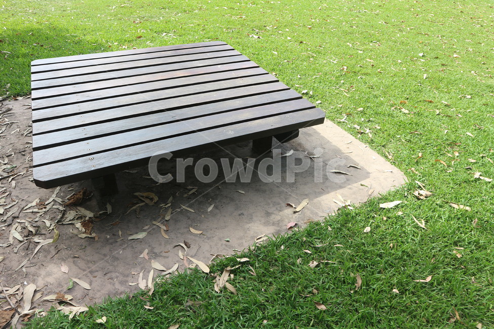 벤치,의자,공원,풀,와상,들판,초록색,휴식,green,호주,noosa,누사,자연,bench,park,field,rest