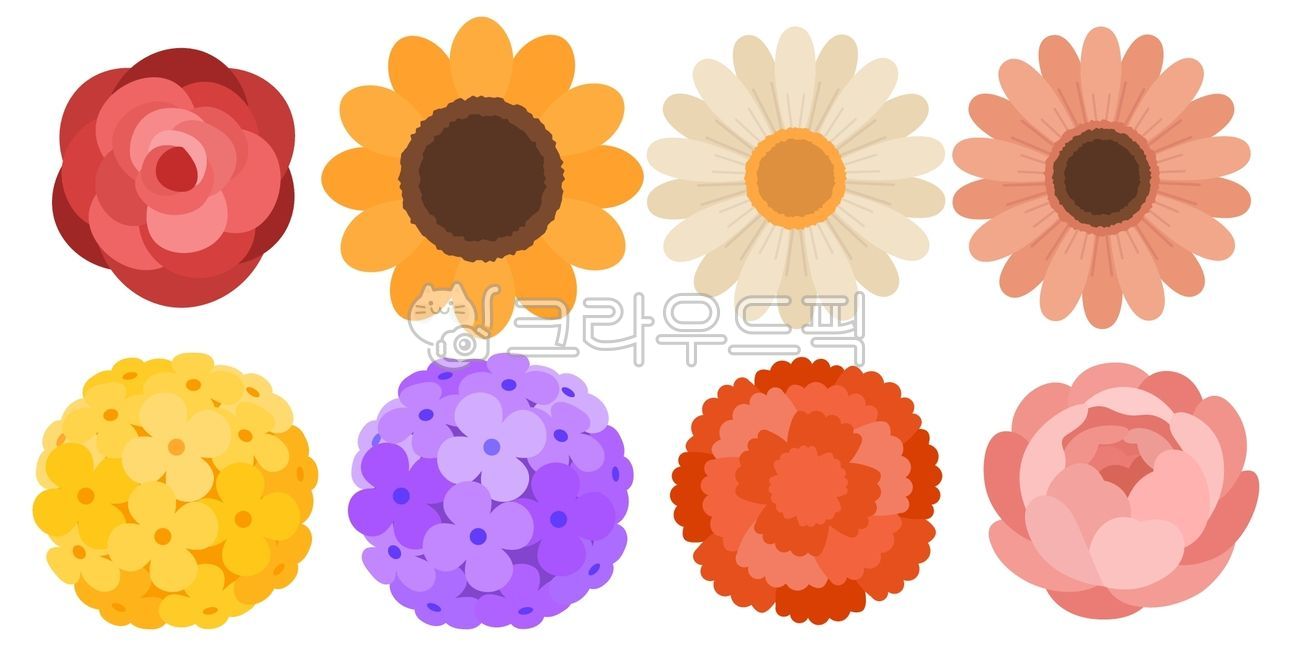 꽃,플라워,한송이,꽃다발,일러스트,그림,꽃집,꽃밭,식물,벡터,피오니,거베라,국화,장미,로즈,튤립,카네이션,수국,꽃잎,데이지,해바라기,탑뷰,꽃장식