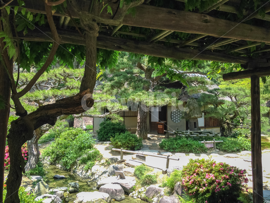 outdoor,japan,Takamatsu,sperm,garden,Ritsurin Park,park