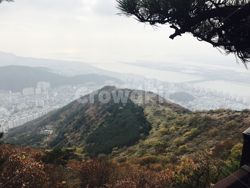 승학산,산,낙동강,등산,나무,도시,풍경,city,landscape,한국도시풍경,한국도시경관,korea cityscape,nature,자연,outdoors,옥외
