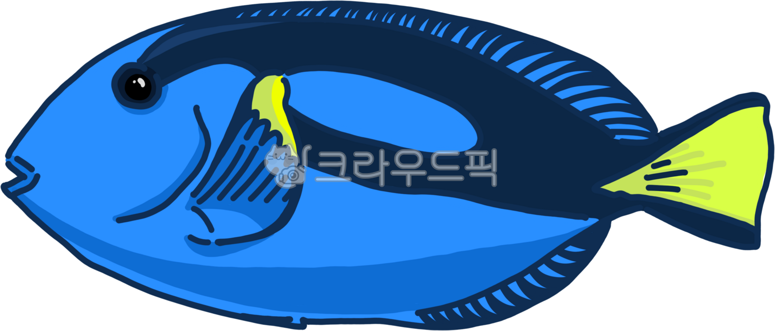 블루탱,블루탱일러스트,물고기,물고기그림,물고기png,블루탱png,블루탱그림,물고기일러스트,바다일러스트,바다png,바다,바다일러스트png,bluetang,fish