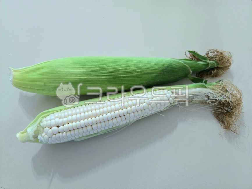 찰옥수수,옥수수,농산물,간식,식재료,corn,대학찰옥수수
