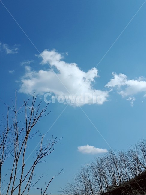 하늘,구름,배경화면,나무,날씨,자연,풍경,nature,landscape,outdoors,옥외,azure sky,푸른 하늘,sky