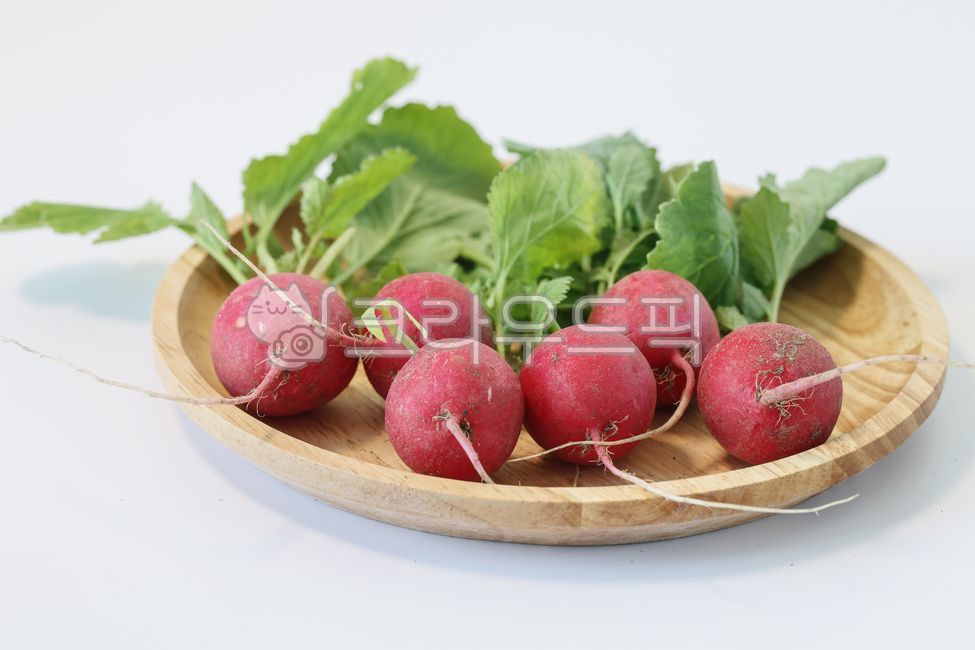 래디시,레디시,래디쉬,전환무,무,채소,방울무,빨간무,vegetable,food,radish,음색